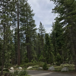 Meet your Posher, Lejean